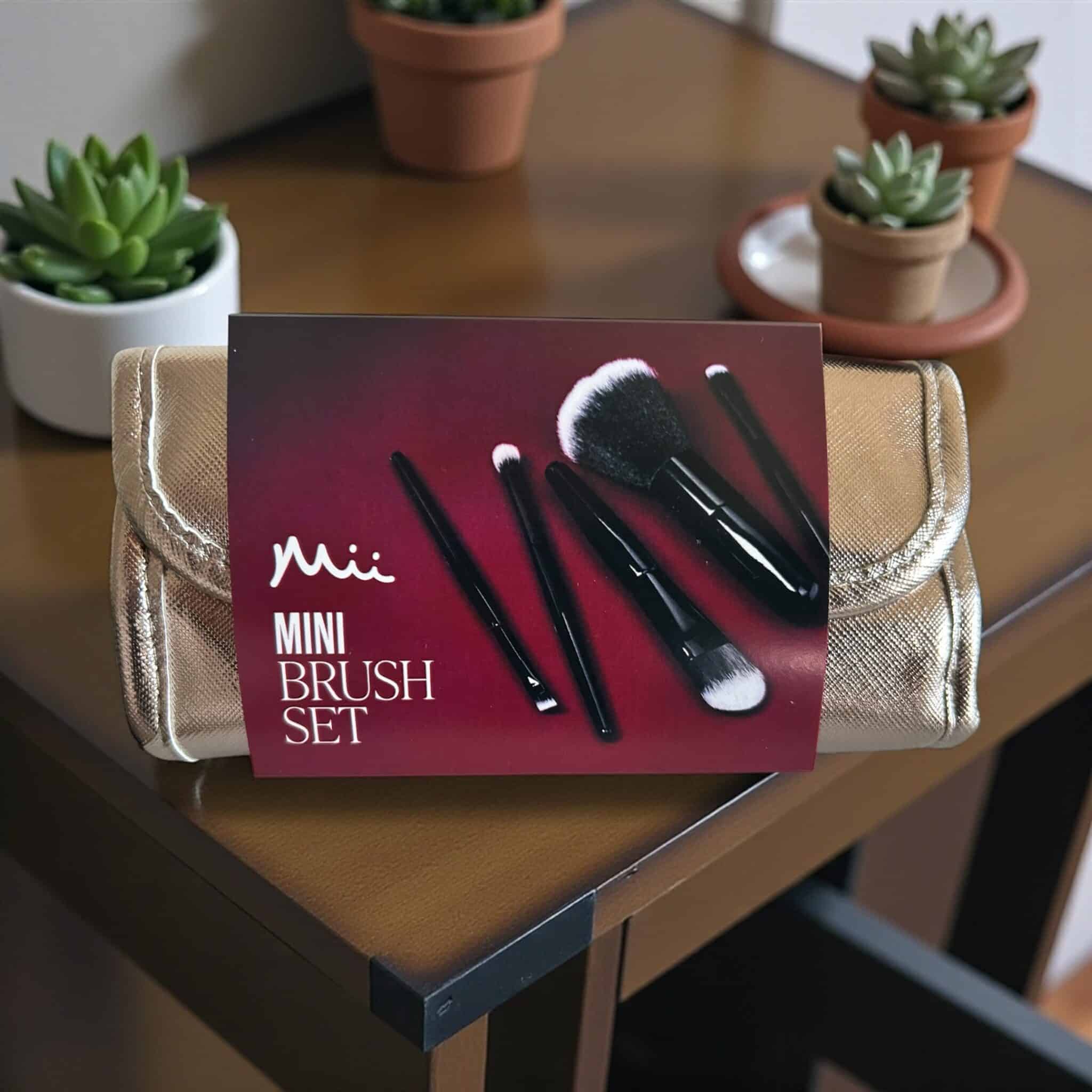Mini brush set